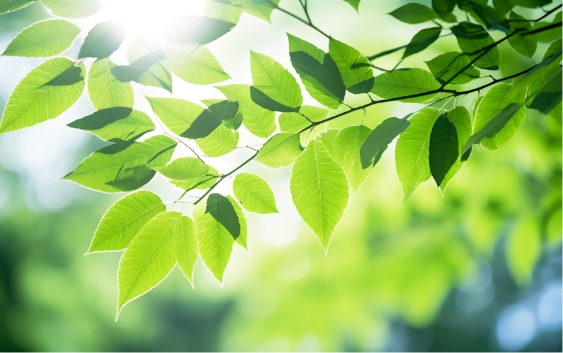 環境マネジメント監査